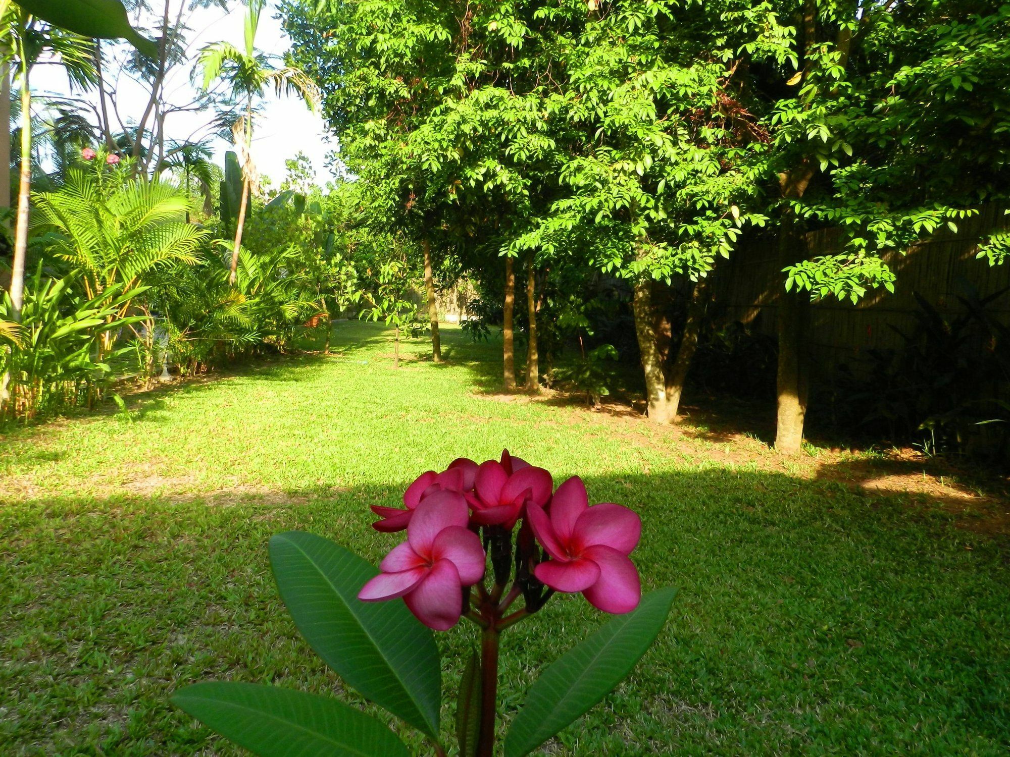 Villa Nissa Siem Reap Exterior foto